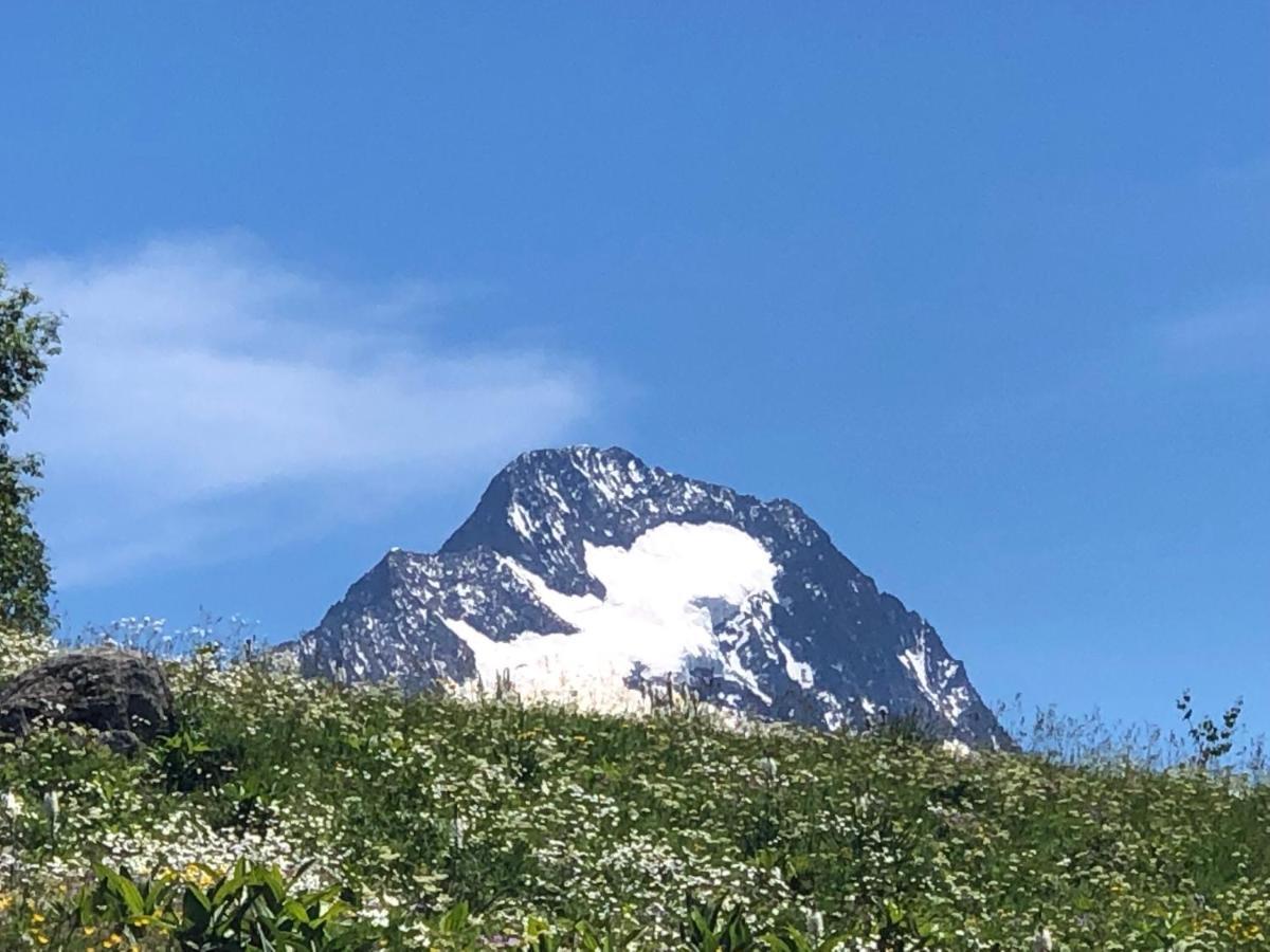 Apartamento Anslo Boys Montagne A2 Les Deux Alpes