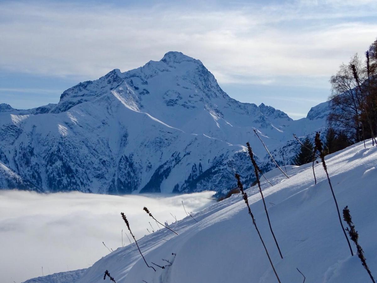 Apartment L'ansloboys Montagne A2 *