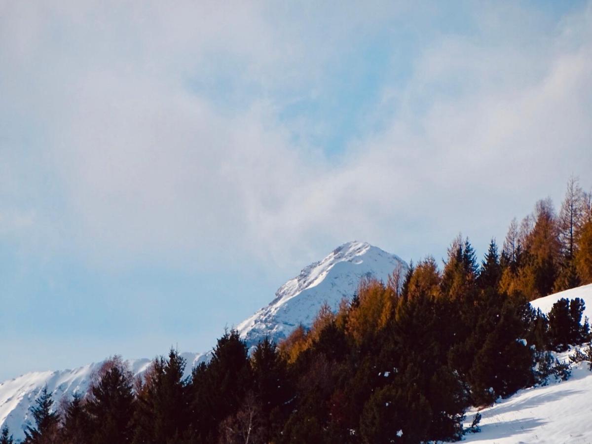 L'ansloboys Montagne A2 * Les Deux Alpes